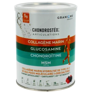 Pot Chondrosteo + collagène marin en poudre – 280 g
